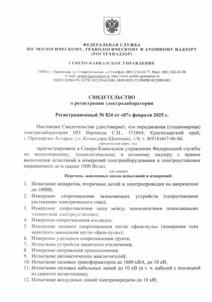 Свидетельство о регистрации ЭТЛ